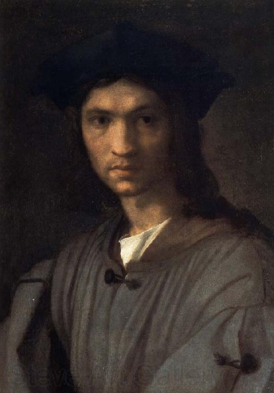 Andrea del Sarto Bondi inside portrait Spain oil painting art